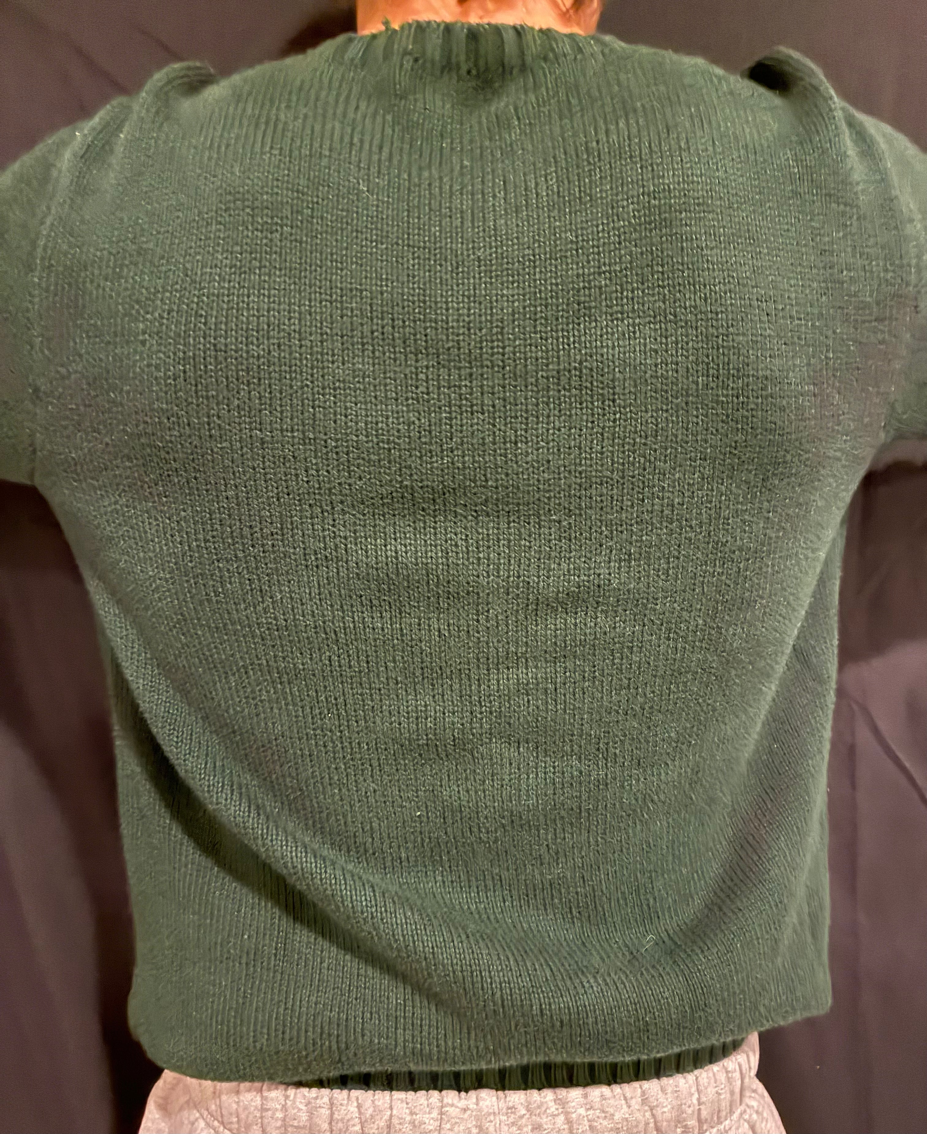 Green Polo Sweater